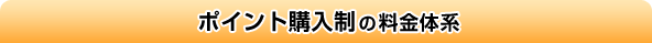 ポイント購入制の料金体系