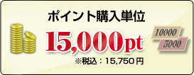 ポイント購入単位